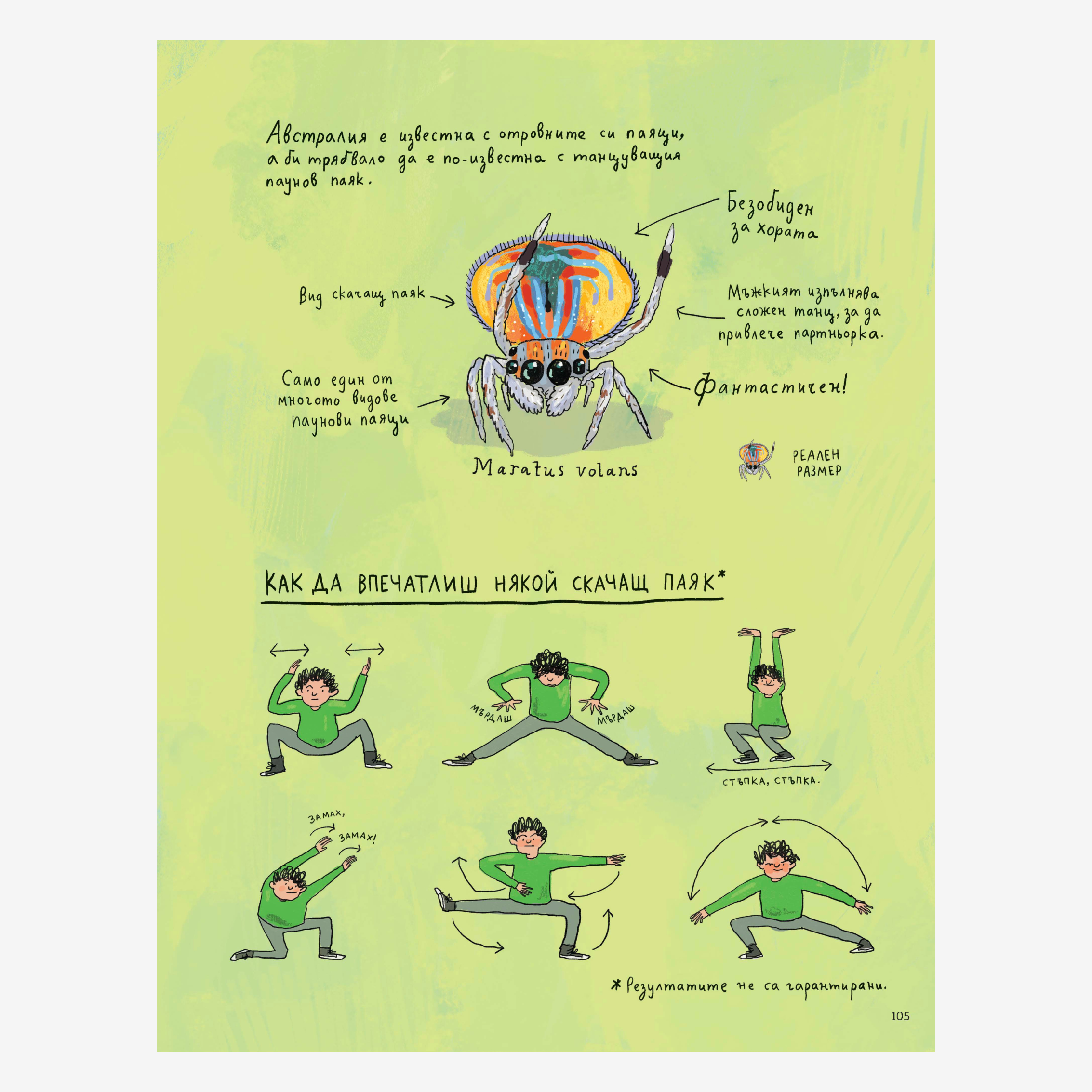 Наблюдатологът