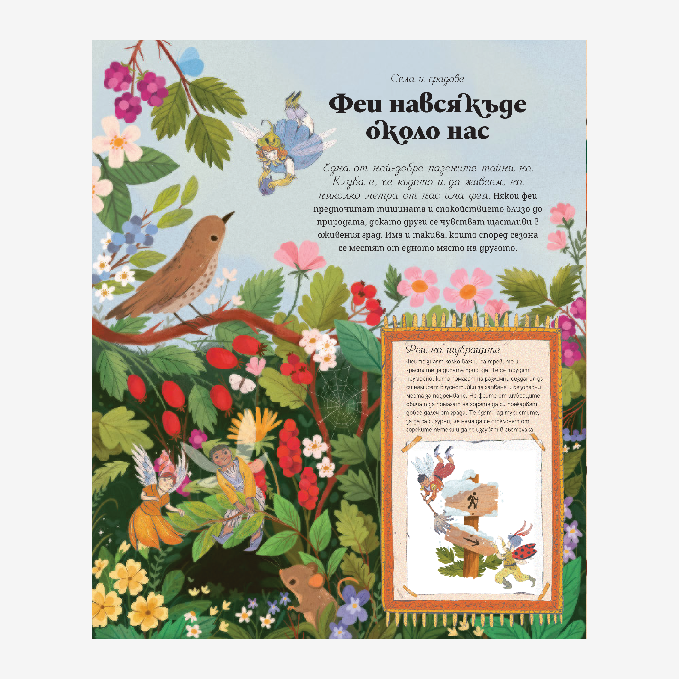 Тайният клуб на феите